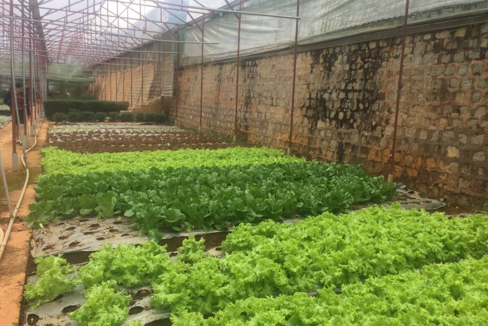 Chăm sóc sức khỏe