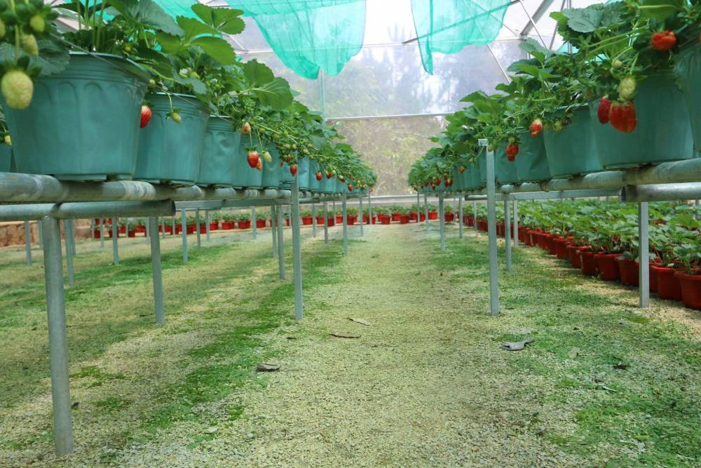 Cung đường bên hồ