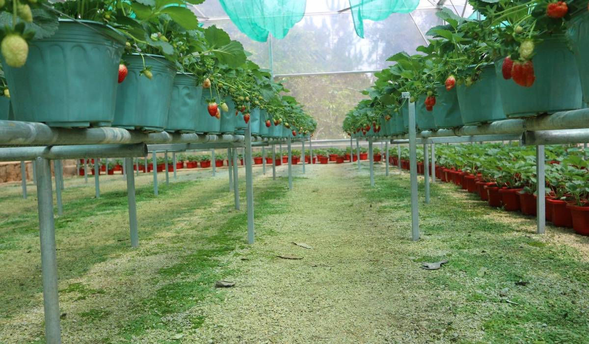 Cung đường bên hồ