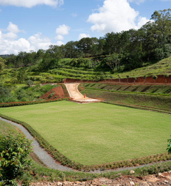 0901677775 - SevenMedia.Vn - Thiết Kế Website Chuyên Nghiệp